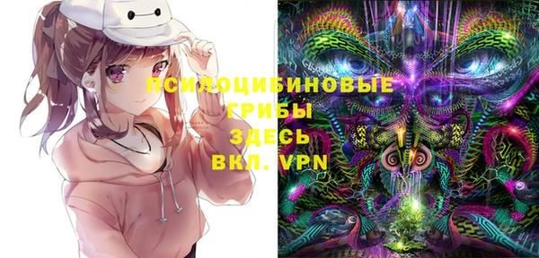 гашик Алексин