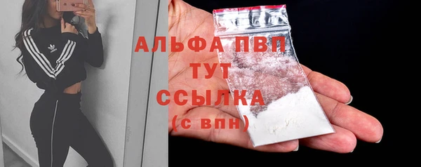 гашик Алексин