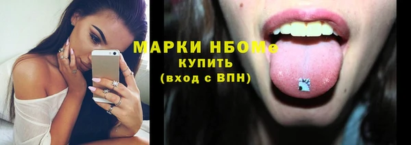 гашик Алексин