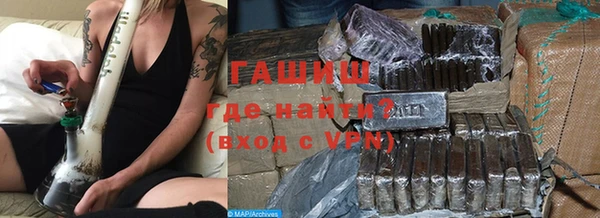 гашик Алексин