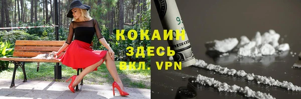 гашик Алексин