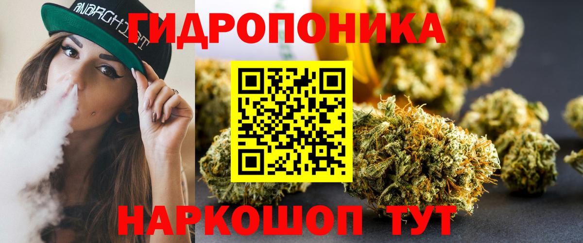 Бошки Шишки OG Kush  Конопля VHQ  Конопля THC 21%  Марихуана марихуана  Ахтубинск  Вход с VPN 